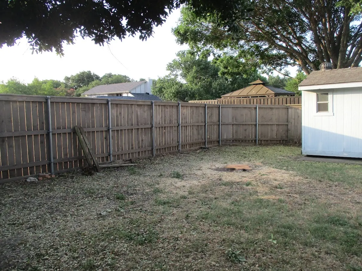 Cleared yard after professional tree removal in Collettsville